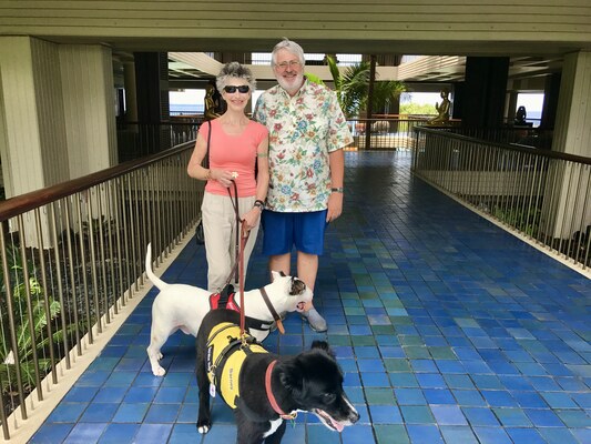 Barney and Mana, Hawaii Island
Hawaii Island, 4 June 2017.
Anahtar kelimeler: barney;mana;border collie;bull terrier;hawaii island;big island