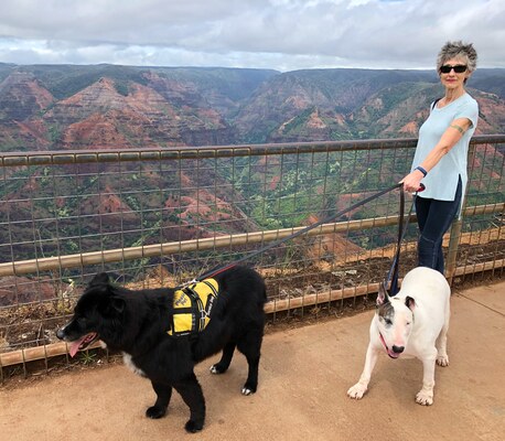 Barney and Mana at Waimea Canyon
Waimea Canyon, Kauai, 30 June 2018.
Klíčová slova: barney;mana;border collie;bull terrier;kauai;waimea canyon