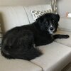 barney_arizona_20161101.jpg