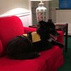 barney_greenbrier_20160906.jpg