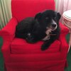 barney_greenbrier_20160909.jpg