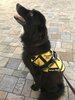 barney_honolulu_20161205.jpg