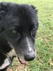 barney_oahu_20170428.jpg