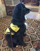 barney_texas_20161024.jpg