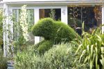 topiary-dog~1.jpg