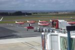 Roulettes at the new airport.jpg